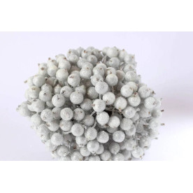 Цукрові ягідки, калина в цукрі, сріблястий, 1см, 10см