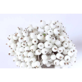Цукрові ягідки, калина в цукрі, білий, 1см, 10см
