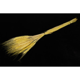 Колосок жовтий, довжина 60 см, букет 30 шт.