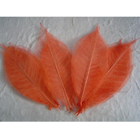 Набір 10 скелетовані декоративних листочків оранжевого кольору