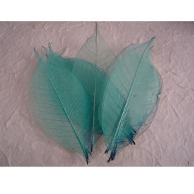 Набор 10 скелетированных декоративных листочков бирюзового цвета