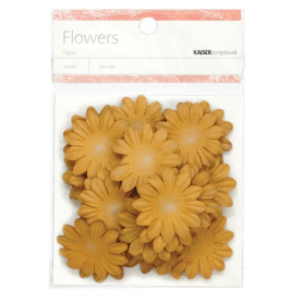Набір квіточок коричневого кольору від Kaisercraft, 3,5 см, 50 шт