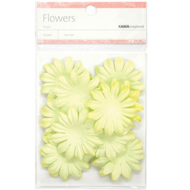 Набір квіточок світло-салатового кольору від Kaisercraft, 5 см, 25 шт
