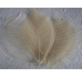 Набір 10 скелетовані декоративних листочків натурального кольору