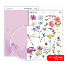 Папір дизайнерський двосторонній матовий Wild Flowers 8, 21х29,7 см, 200 г/м2, ROSA TALENT
