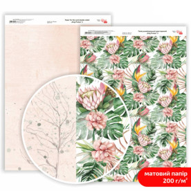 Бумага дизайнерская двусторонняя, матовая, King Protea 3, 21х29,7 см, 200 г/м2, Rosa Talent