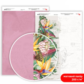 Папір дизайнерський двосторонній, матовий, King Protea 4, 21х29,7 см, 200 г/м2, Rosa Talent