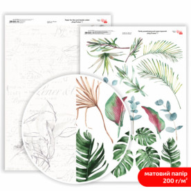 Папір дизайнерський двосторонній, матовий, King Protea 7, 21х29,7 см, 200 г/м2, Rosa Talent