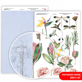 Папір дизайнерський двосторонній, матовий, King Protea 8, 21х29,7 см, 200 г/м2, Rosa Talent