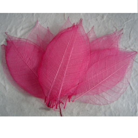 Набір 10 скелетовані декоративних листочків рожевого кольору