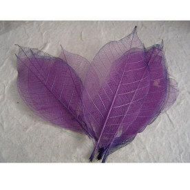 Набор 10 скелетированных декоративных листочков фиолетового цвета