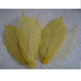 Набір 10 скелетовані декоративних листочків жовтого кольору
