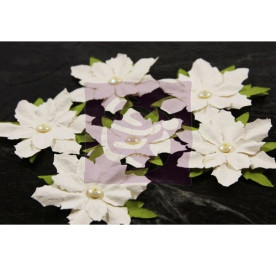 Набір кольорів Innocence від prima, 6 шт