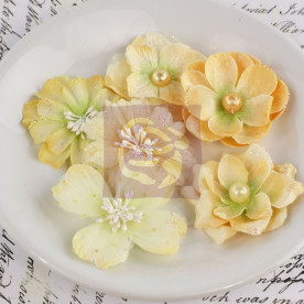 Набір квіточок Charlotte Nectar від Prima, 6 шт