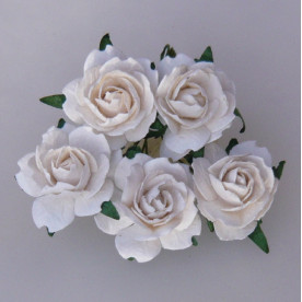 Набір чайних троянд білого кольору, 25 мм, 5 шт