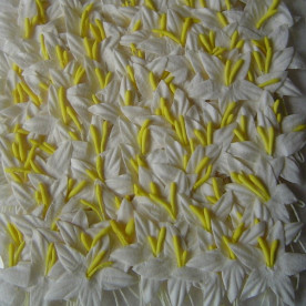 Набір 10 декоративних квіток гладіолуса білого кольору