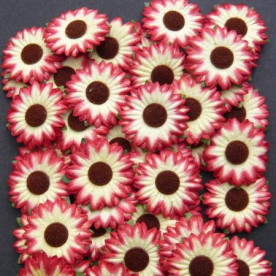 Набір 10 декоративних квіток соняшника / маргаритки червоно-жовтого кольору