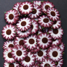 Набір 10 декоративних квіток соняшника / маргаритки бордового кольору