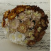 Набор 5 декоративных цветков маргариток 25 мм в коричневых тонах