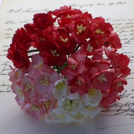 Набор 5 декоративных цветков вишни в красных тонах