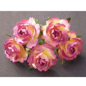 Набір 5 чайних троянд бургунди-кремового кольору, 25 мм