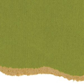 Дизайнерский картон, Craft-core зеленый 30х30, Coredinations