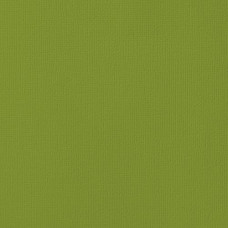 Лист зеленого кардстока Leаf 30х30 см від American Crafts