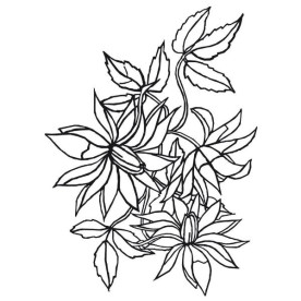 Папка для тиснення Loose Floral від Darice