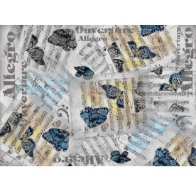 Декупажная карта "Allegro" 44х31 см от компании Cheap Art