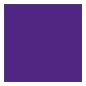 Фетр Orchid сливового кольору 30х23 см від компанії Kunin