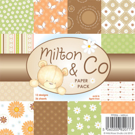 Набор бумаги Milton 15х15 см 12 листов от Wild Rose Studio