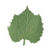 Дирокол для вирізання та тиснення Birch Leaf, 6х5,5 см від Marvy Uchida