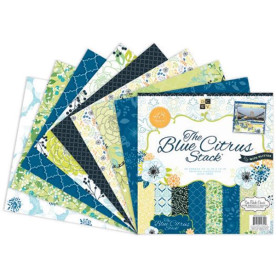 Набір паперу для скрапбукінгу Blue Citrus 30х30 см 24 листа від DCWV