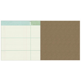 Двосторонній папір Notetaker 30х30 см від Webster's Pages