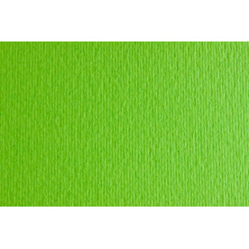 Бумага для дизайна Elle Erre А3 ,29,7х42см, №10 verde picello, 220г/м2, салатовый, Fabriano