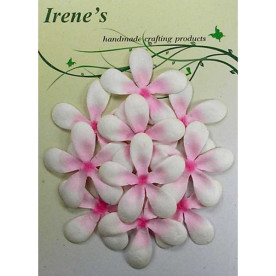 Набор цветочков жасмина белого и розового цвета, 10 шт