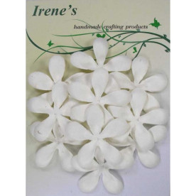 Набір квіточок жасмину білого кольору, 10 шт