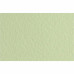 Бумага для пастели Tiziano A3 (29,7 * 42см), №11 verduzzo, 160г/м2, салатовый, среднее зерно, Fabriano
