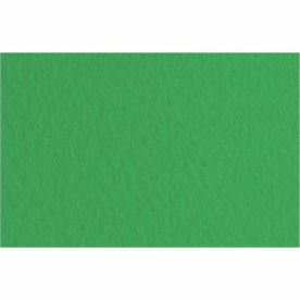 Папір для пастелі Tiziano A3 (29,7*42см), №12 prato, 160г/м2, зелений, середнє зерно, Fabriano