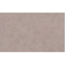 Бумага для пастели Tiziano A3 (29,7 * 42см), №27 lama, 160г / м2, серый с ворсинками, среднее зерно, Fabriаno