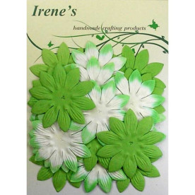 Набір квіточок білого і зеленого кольорів, 20 шт