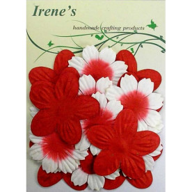 Набір квіточок в білих і червоних тонах, 20 шт