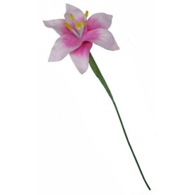 Набор розовых лилий из тутовой бумаги, 5 шт