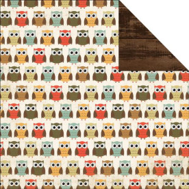 Двусторонняя бумага Owl 30х30 см от Echo Park