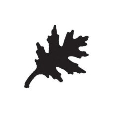 Фігурний дирокол Oak Leaf 2,5 см від Punch Bunch