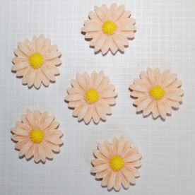 Пластиковый кабошон Ромашка абрикосового цвета, диаметр 22 мм, 1 шт