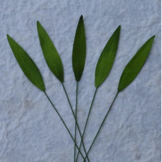 Набір 10 листочків Green Medium Grass