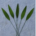 Набір 10 листочків Green Medium Grass
