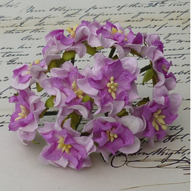 Набір 5 гарденій бузкового і фіолетового кольорів, 35-40 мм