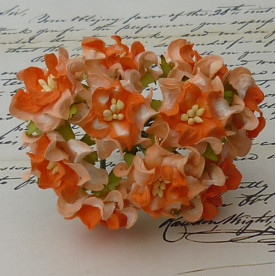 Набір 5 гарденій оранжевого і персикового кольору, 35-40 мм